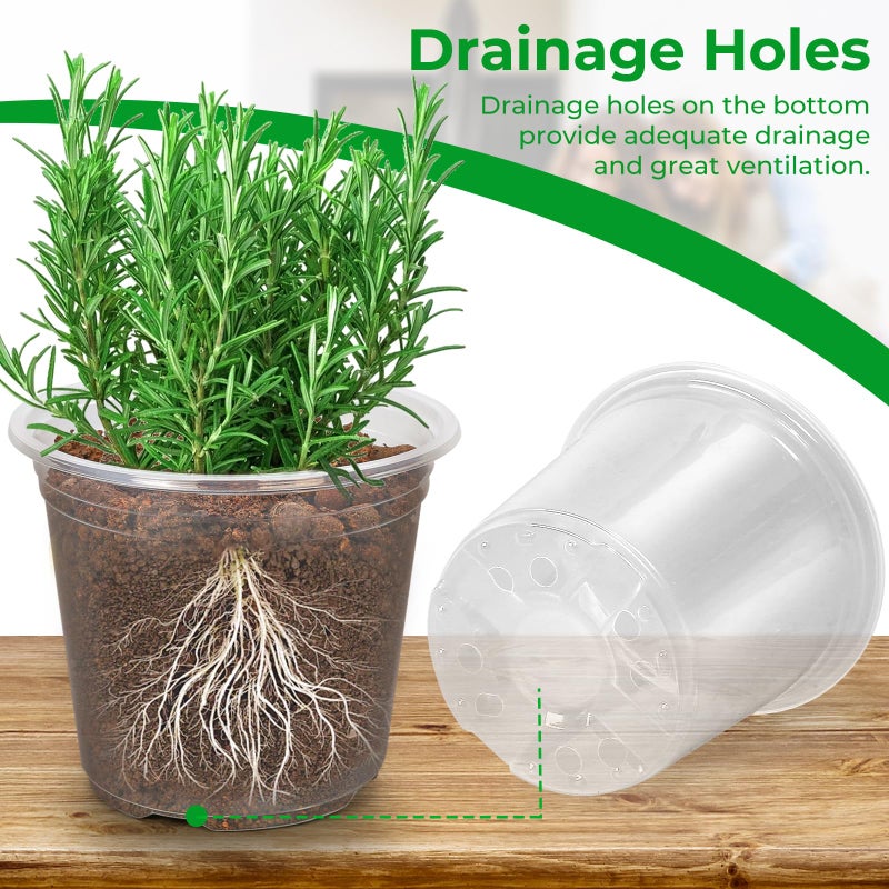 FUIJOL 50 Pack 3/4/5/6/7 Inch Clear Plastic Nursery Pots for Succulents  Herbs  Flowers  Vegetable Seedlings  Durable Nursery Pots for Plants with Drainage Holes - Image 2